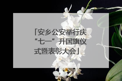 安乡公安举行庆“七一”升国旗仪式暨表彰大会