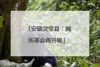安徽灵璧县：厕所革命再升级