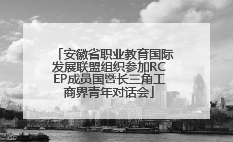 安徽省职业教育国际发展联盟组织参加RCEP成员国暨长三角工商界青年对话会