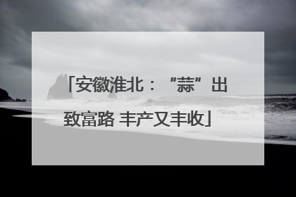 安徽淮北：“蒜”出致富路 丰产又丰收