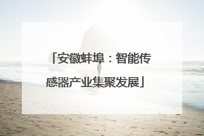 安徽蚌埠：智能传感器产业集聚发展