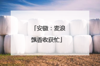 安徽：麦浪飘香收获忙
