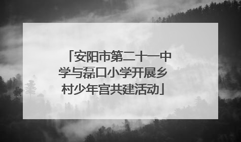 安阳市第二十一中学与磊口小学开展乡村少年宫共建活动