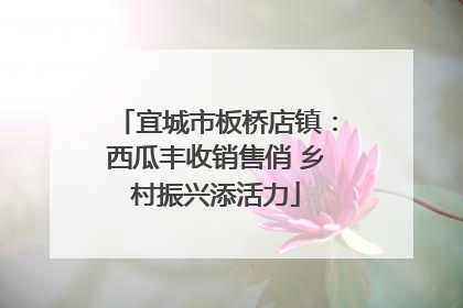 宜城市板桥店镇：西瓜丰收销售俏 乡村振兴添活力