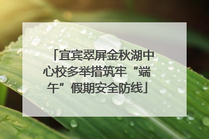 宜宾翠屏金秋湖中心校多举措筑牢“端午”假期安全防线