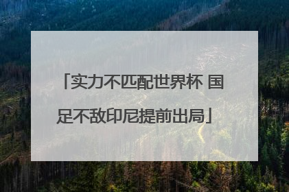实力不匹配世界杯 国足不敌印尼提前出局