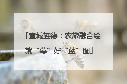 宣城旌德：农旅融合绘就“莓”好“蓝”图