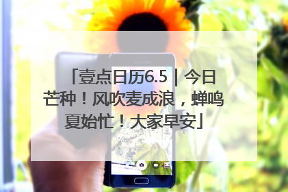 壹点日历6.5｜今日芒种！风吹麦成浪，蝉鸣夏始忙！大家早安