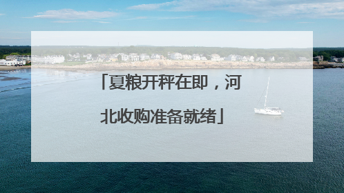 夏粮开秤在即，河北收购准备就绪