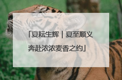 夏耘生辉｜夏至顺义奔赴浓浓麦香之约