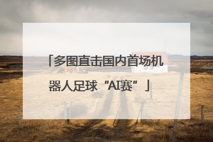 多图直击国内首场机器人足球“AI赛”
