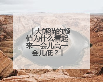 大熊猫的颜值为什么看起来一会儿高一会儿低？