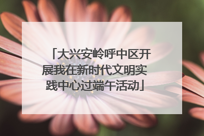 大兴安岭呼中区开展我在新时代文明实践中心过端午活动