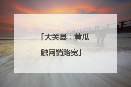 大关县：黄瓜触网销路宽