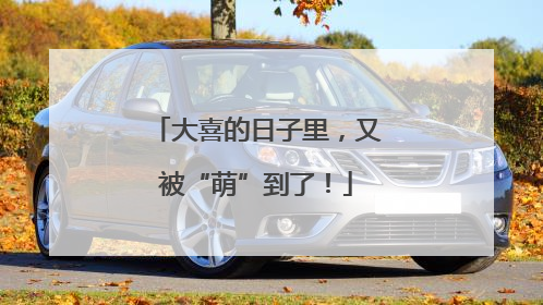 大喜的日子里，又被“萌”到了！