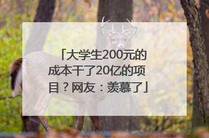 大学生200元的成本干了20亿的项目？网友：羡慕了