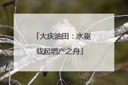 大庆油田：水驱载起增产之舟