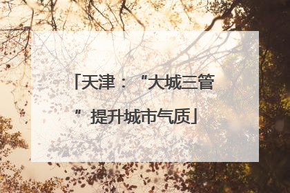 天津：“大城三管”提升城市气质