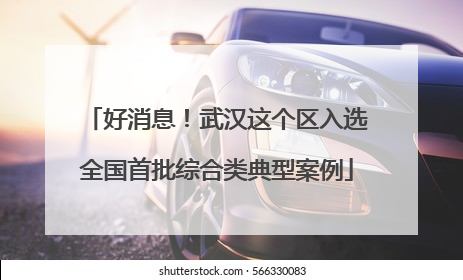 好消息！武汉这个区入选全国首批综合类典型案例