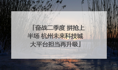 奋战二季度 拼抢上半场 杭州未来科技城大平台担当再升级