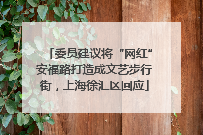 委员建议将“网红”安福路打造成文艺步行街，上海徐汇区回应