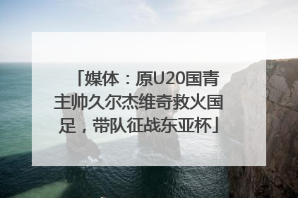 媒体：原U20国青主帅久尔杰维奇救火国足，带队征战东亚杯