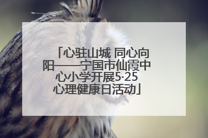 心驻山城 同心向阳——宁国市仙霞中心小学开展5·25心理健康日活动