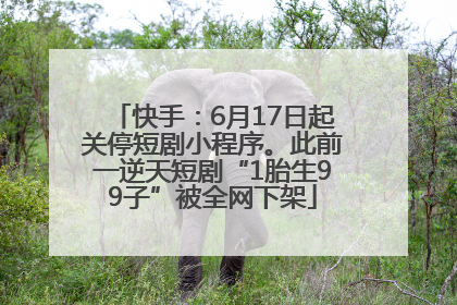 快手：6月17日起关停短剧小程序。此前一逆天短剧“1胎生99子”被全网下架