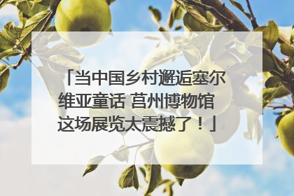 当中国乡村邂逅塞尔维亚童话 莒州博物馆这场展览太震撼了！
