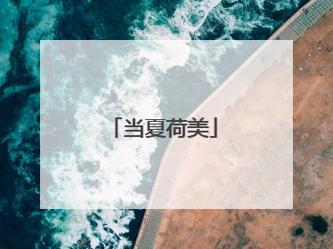 当夏荷美