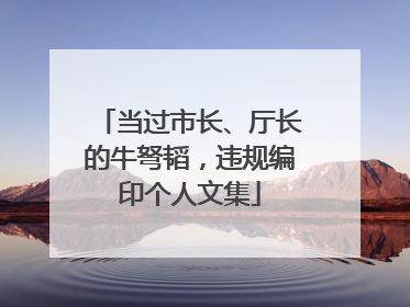 当过市长、厅长的牛弩韬，违规编印个人文集