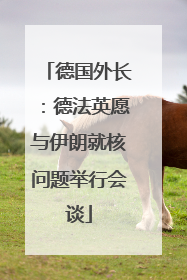 德国外长：德法英愿与伊朗就核问题举行会谈