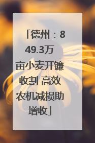德州：849.3万亩小麦开镰收割 高效农机减损助增收