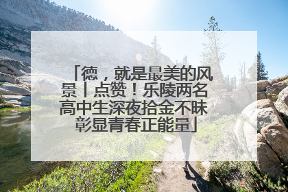 德，就是最美的风景丨点赞！乐陵两名高中生深夜拾金不昧 彰显青春正能量