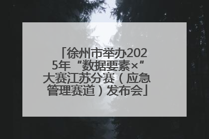 徐州市举办2025年“数据要素×”大赛江苏分赛（应急管理赛道）发布会
