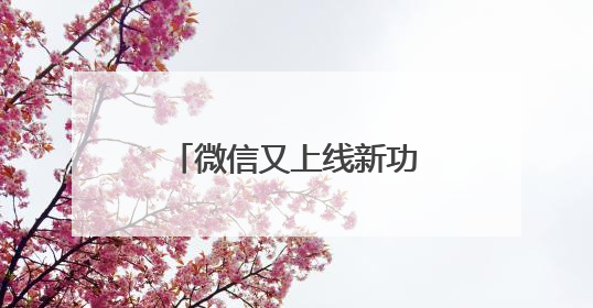 微信又上线新功能！网友：非常实用，赶紧改