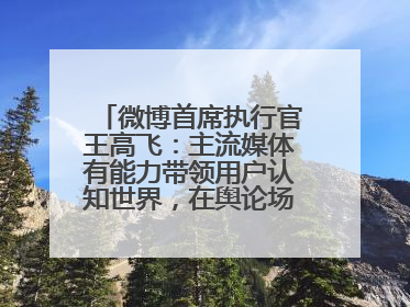微博首席执行官王高飞：主流媒体有能力带领用户认知世界，在舆论场中搭建理性的讨论空间