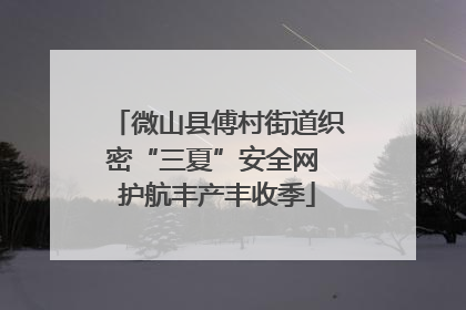 微山县傅村街道织密“三夏”安全网 护航丰产丰收季