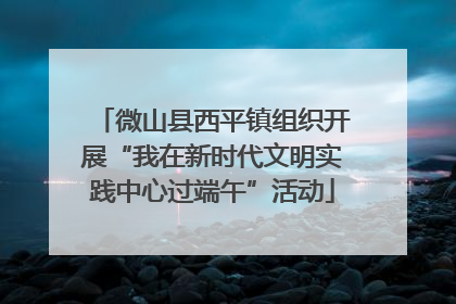 微山县西平镇组织开展“我在新时代文明实践中心过端午”活动