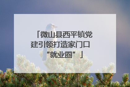 微山县西平镇党建引领打造家门口“就业圈”