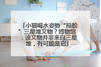 小猫喝水姿势“撞脸”三星堆文物？博物馆：该文物并非来自三星堆，有可能是它