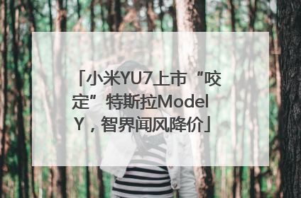 小米YU7上市“咬定”特斯拉Model Y，智界闻风降价