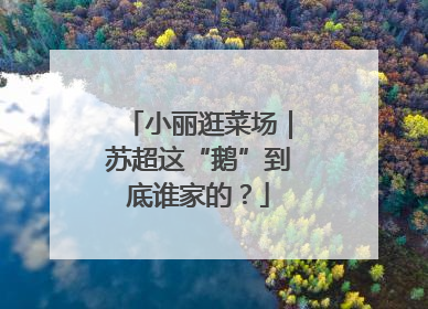 小丽逛菜场｜苏超这“鹅”到底谁家的？