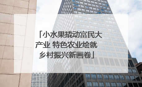 小水果撬动富民大产业 特色农业绘就乡村振兴新画卷