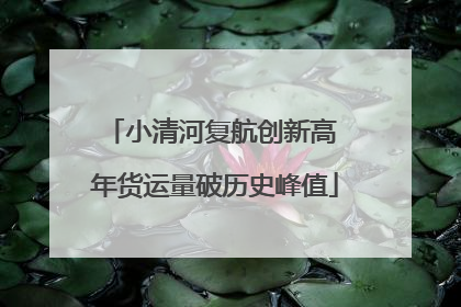 小清河复航创新高 年货运量破历史峰值