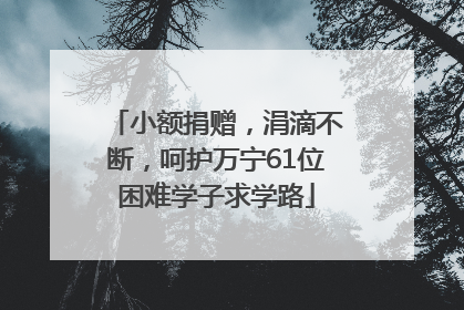小额捐赠，涓滴不断，呵护万宁61位困难学子求学路