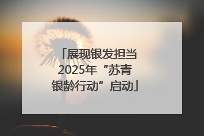 展现银发担当 2025年“苏青银龄行动”启动