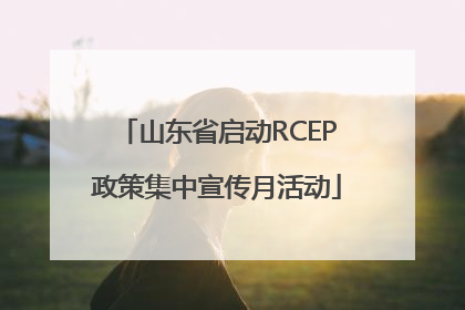 山东省启动RCEP政策集中宣传月活动