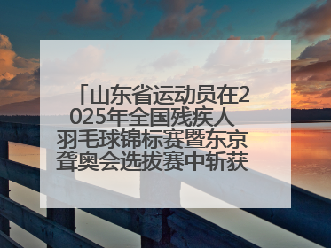 山东省运动员在2025年全国残疾人羽毛球锦标赛暨东京聋奥会选拔赛中斩获3银1铜