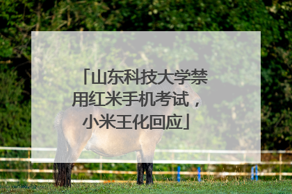山东科技大学禁用红米手机考试，小米王化回应